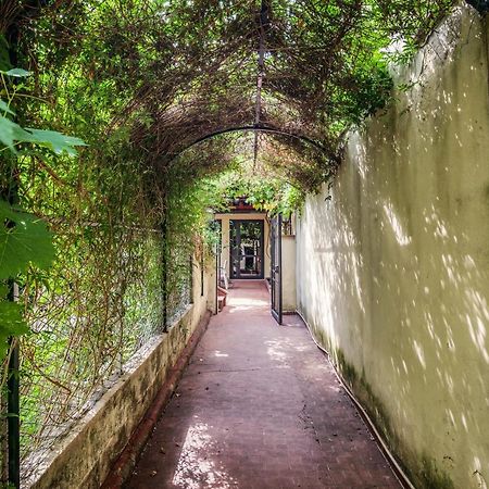 Santa Reparata Apartment With Patio And Terrace Florence Ngoại thất bức ảnh